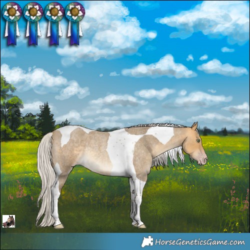 Horse Color:Silver Sable Cream Champagne Roan Tobiano Rabicano 