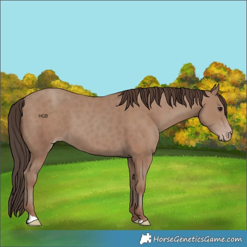 Horse Color:Classic Champagne 