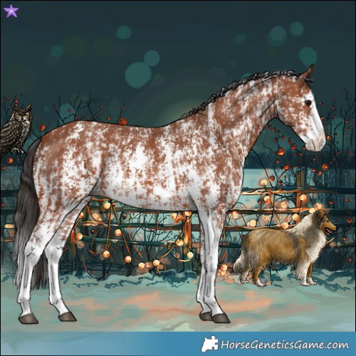 Horse Color:Bay Sabino Rabicano and Bay Sabino Splash Rabicano