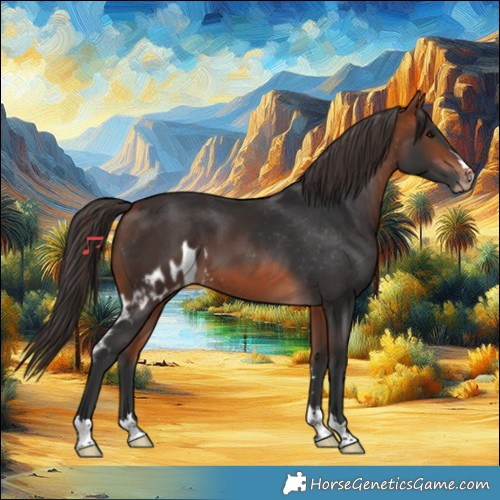 Horse Color:Bay Skewed Appaloosa