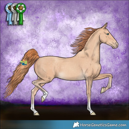 Horse Color:Gray Perlino 