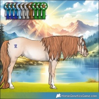 Horse Color:Gray Perlino