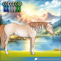 Horse Color:Gray Perlino