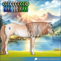 Horse Color:Gray Perlino