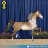 Horse Color:Gray Amber Cream Champagne 