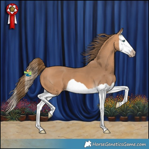 Horse Color:Gray Perlino Splash 