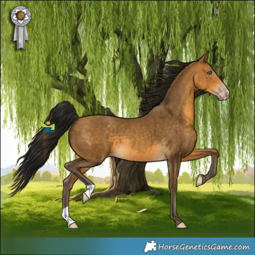 Horse Color:Gray Sable Cream Champagne 