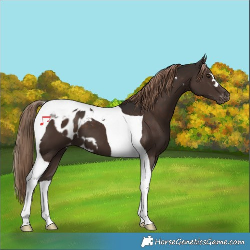 Horse Color:Liver Chestnut Tobiano Skewed LP Spotted 