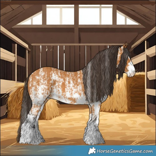 Horse Color:Buckskin Sabino Rabicano  and Buckskin Sabino Rabicano 