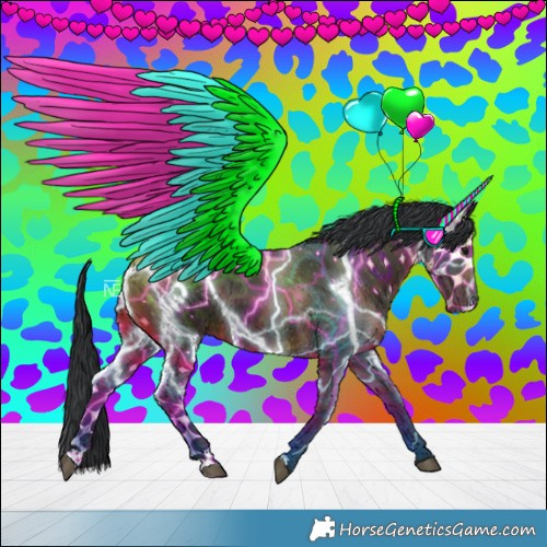Horse Color:Black 