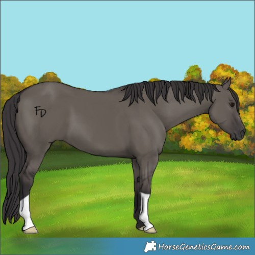 Horse Color:Smoky Grullo 