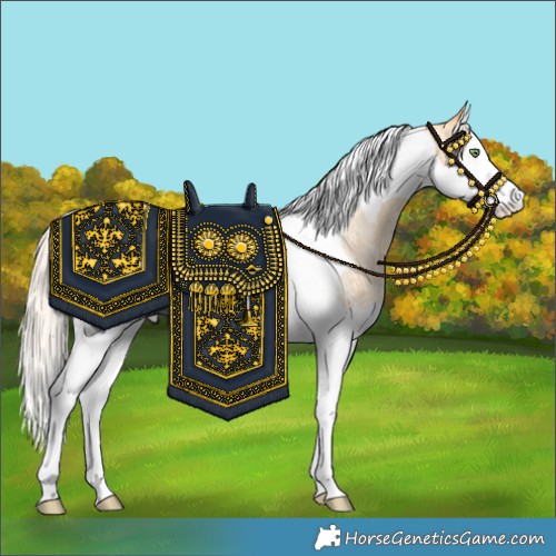 Horse Color:Gold Cream Champagne Roan Splash Tobiano Rabicano 