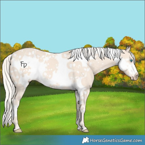 Horse Color:White Spotted Cremello Tobiano Frame 