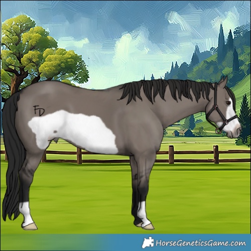 Horse Color:Gray Smoky Grullo Frame 