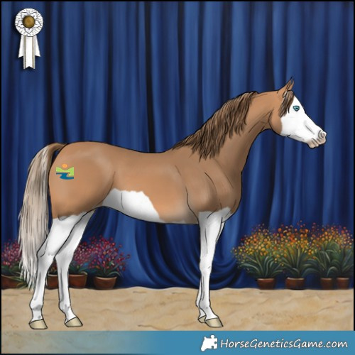 Horse Color:Gray Perlino Splash 