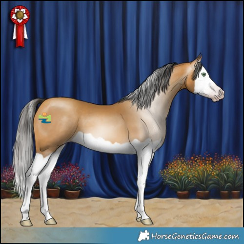 Horse Color:Gray Amber Cream Champagne Splash 