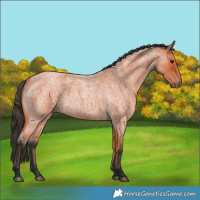 Horse Color:Bay Roan 
