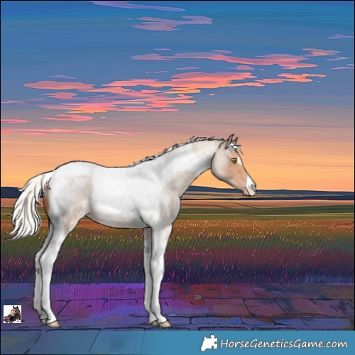 Horse Color:Silver Classic Champagne Roan Tobiano 