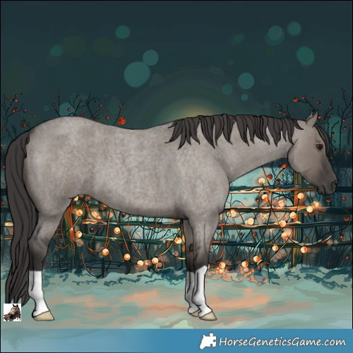 Horse Color:Smoky Grullo Roan 