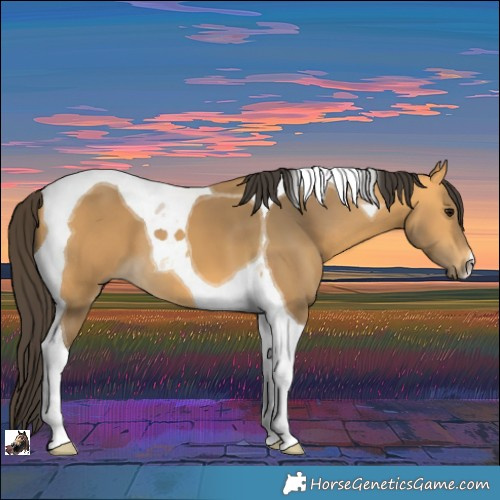 Horse Color:Buckskin Tobiano 