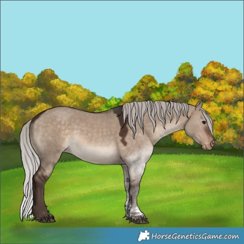 Horse Color:Silver Brown Dun Tobiano Varnish 