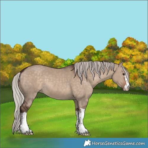 Horse Color:White Spotted Silver Brown Dun 