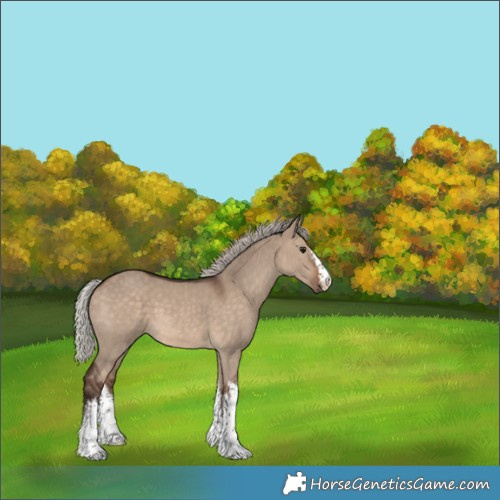 Horse Color:White Spotted Silver Brown Dun 