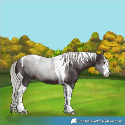 Horse Color:White Spotted Silver Brown Tobiano 