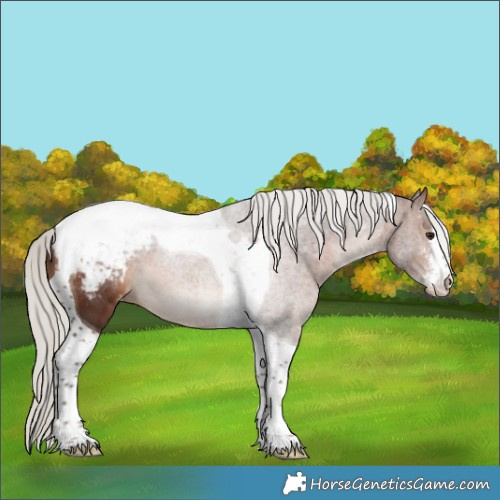 Horse Color:White Spotted Silver Brown Tobiano Snowcap 