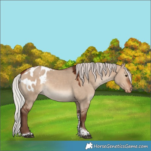 Horse Color:Silver Bay Dun Tobiano Blanket 