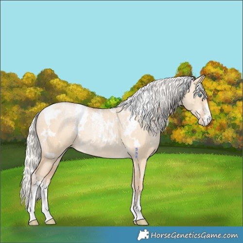 Horse Color:Powder White White Spotted Silver Bay Snowdrop Pearl Dun Rabicano 