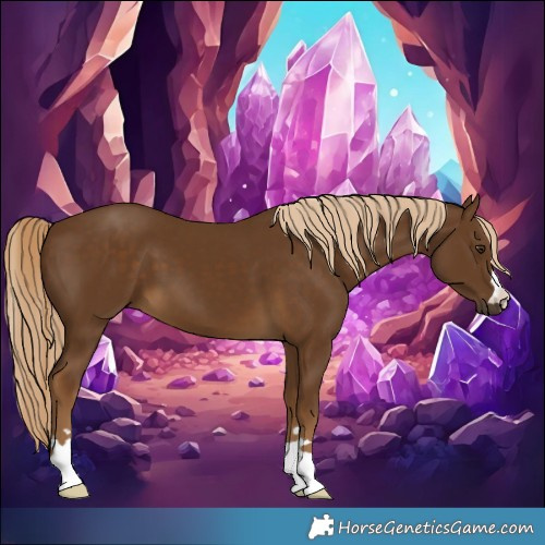 Horse Color:Chocolate Palomino 