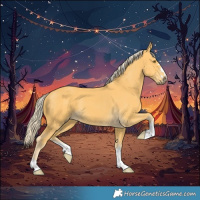 Horse Color:Pseudo Palomino 