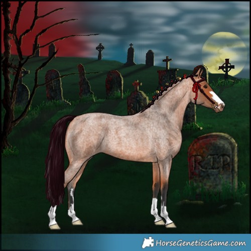 Horse Color:Bay Roan 