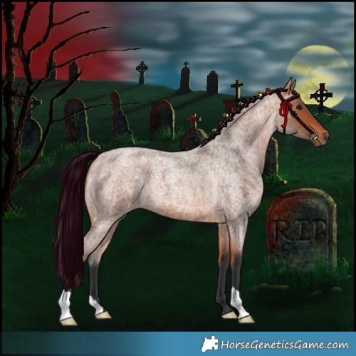 Horse Color:Bay Roan