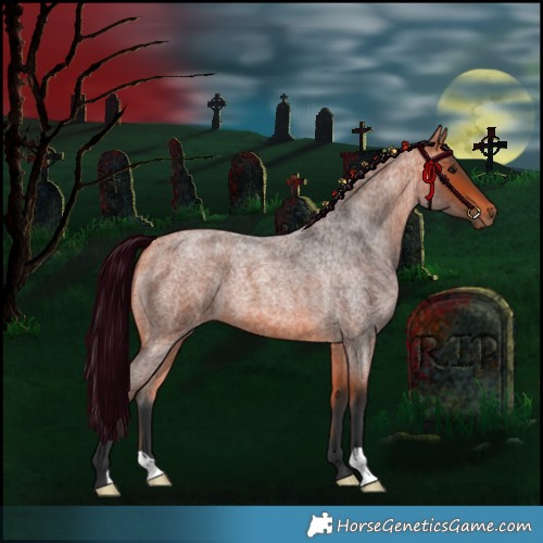 Horse Color:Bay Roan