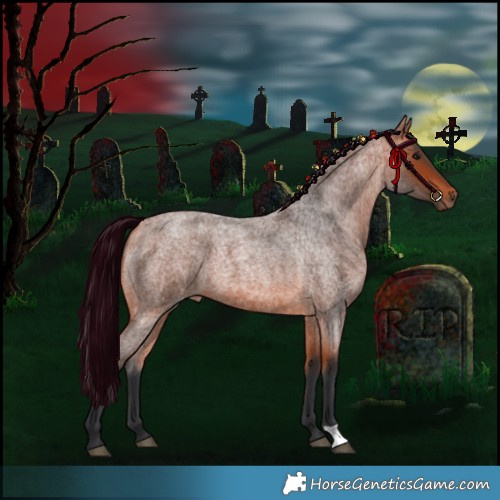 Horse Color:Bay Roan 