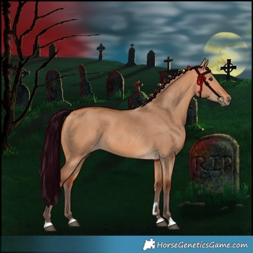 Horse Color:Silver Bay Dun 