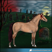 Horse Color:Silver Bay Dun 