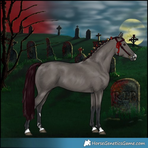 Horse Color:Grullo 