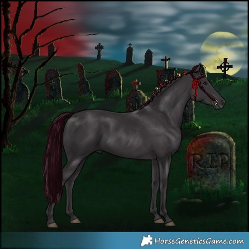 Horse Color:Smoky Black