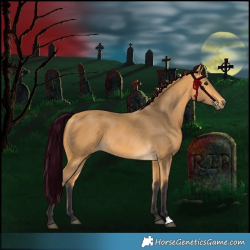 Horse Color:Buckskin 