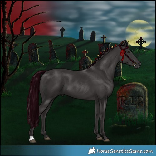 Horse Color:Smoky Black 