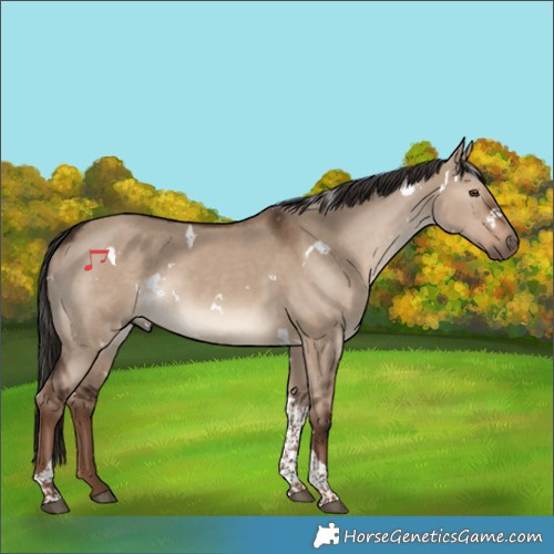 Horse Color:White Spotted Liver Red Dun Tobiano Rabicano 