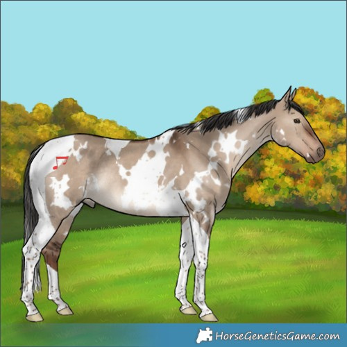 Horse Color:White Spotted Liver Red Dun Tobiano Rabicano 