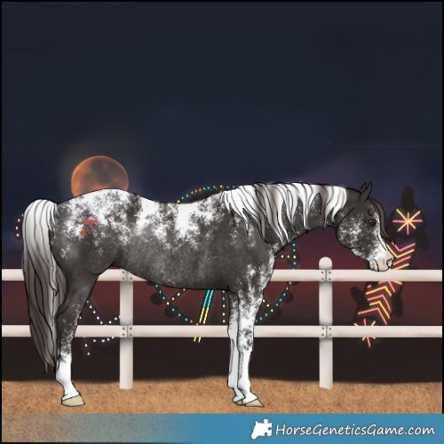 Horse Color:Powder White Liver Chestnut Rabicano 