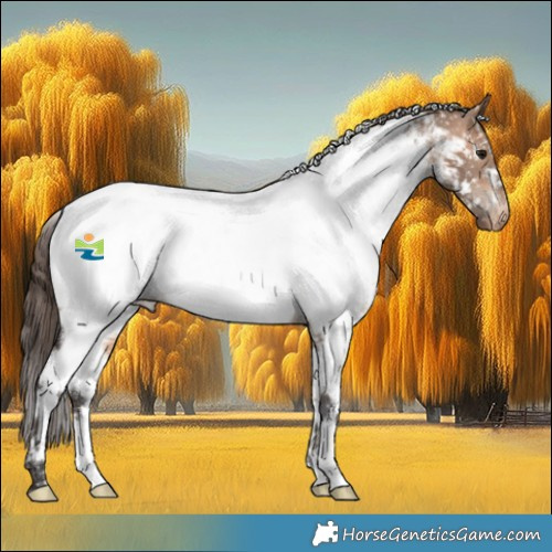 Horse Color:White Spotted Bay Dun Appaloosa 