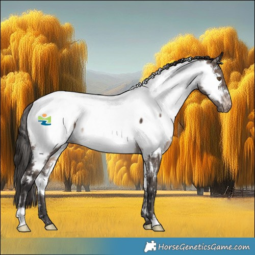 Horse Color:White Spotted Brown Dun Mushroom Appaloosa