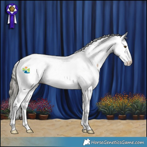 Horse Color:White Spotted Liver Red Dun Mushroom Appaloosa