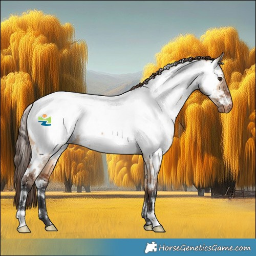 Horse Color:White Spotted Bay Dun Appaloosa 